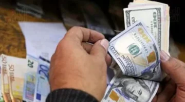 الدولار يستقر أمام الجنيه في تعاملات السبت دون تغيرات في السوق 1